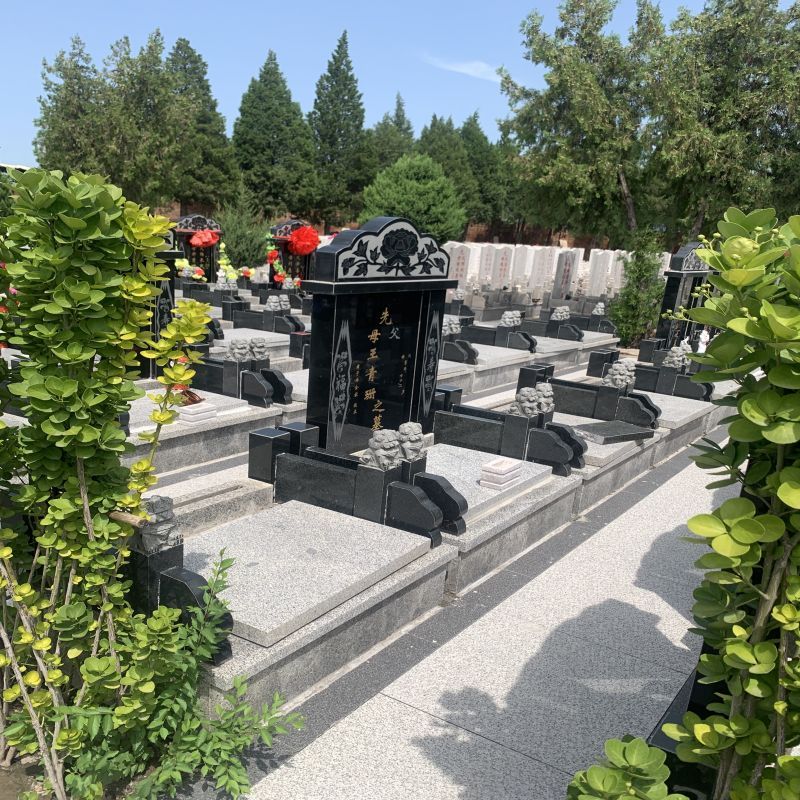 微信图片_20240401183911.jpg