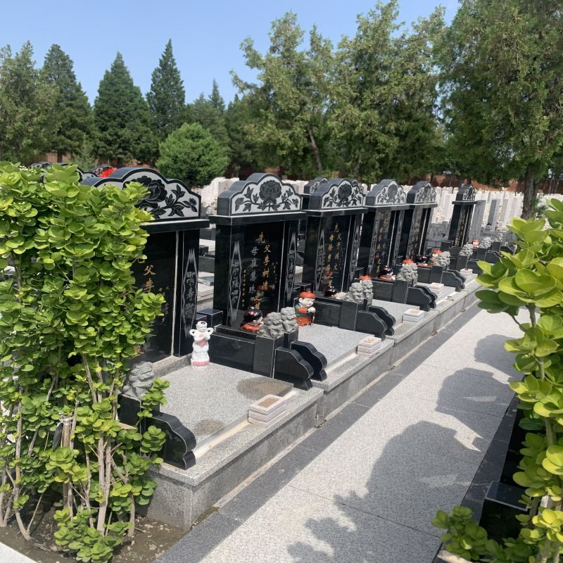微信图片_20240401183919.jpg